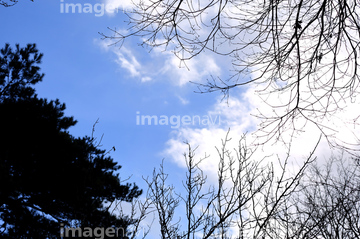冬の空の景色 の画像素材 空 自然 風景の写真素材ならイメージナビ
