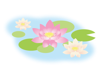 和風 花 ハスの花 イラスト の画像素材 バックグラウンド イラスト Cgのイラスト素材ならイメージナビ
