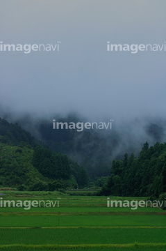 田んぼ イラストデータ 雨 大雨 ロイヤリティフリー の画像素材 気象 天気 自然 風景の写真素材ならイメージナビ
