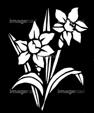 紙 花 スイセン ヒガンバナの近縁 の画像素材 季節 イベント イラスト Cgの写真素材ならイメージナビ