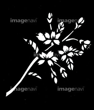 ペーパークラフト 花 桜 切り絵 の画像素材 季節 イベント イラスト Cgの写真素材ならイメージナビ