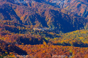 見返り峠 の画像素材 森林 自然 風景の写真素材ならイメージナビ