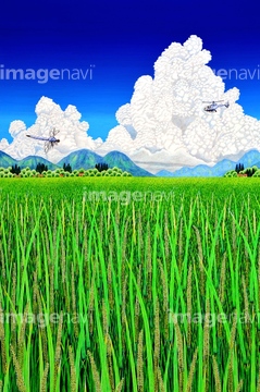 イラスト 稲 夏 の画像素材 自然 風景 イラスト Cgのイラスト素材ならイメージナビ