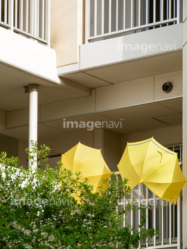 傘干す の画像素材 ファッション用品 オブジェクトの写真素材ならイメージナビ