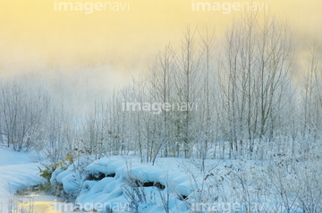 Imagenavirf写真 雪景色 ロイヤリティフリー の画像素材 山 自然 風景の写真素材ならイメージナビ