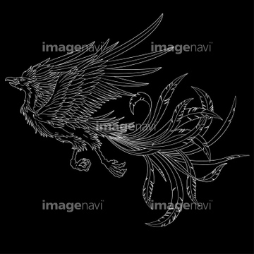 動物のイラスト 鳳凰 不死鳥 イラスト の画像素材 イラスト Cgのイラスト素材ならイメージナビ