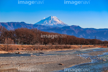 信玄堤公園 の画像素材 樹木 花 植物の写真素材ならイメージナビ