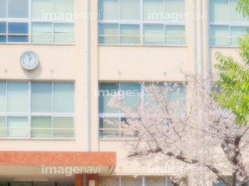 学校 桜 校門 の画像素材 年賀 グリーティングの写真素材ならイメージナビ