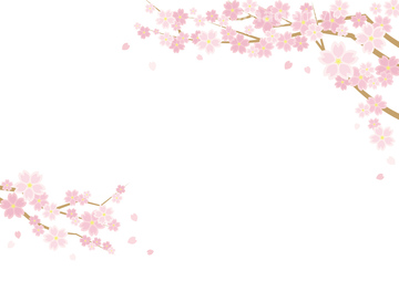桜 ソメイヨシノ イラスト の画像素材 季節 イベント イラスト