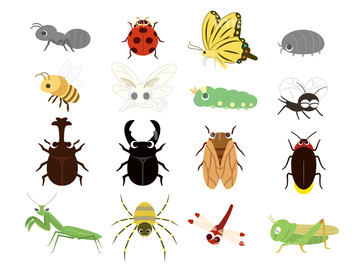 トノサマバッタ の画像素材 虫 昆虫 生き物の写真素材ならイメージナビ