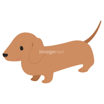 犬 かわいい ダックスフント イラスト の画像素材 生き物 イラスト Cgのイラスト素材ならイメージナビ