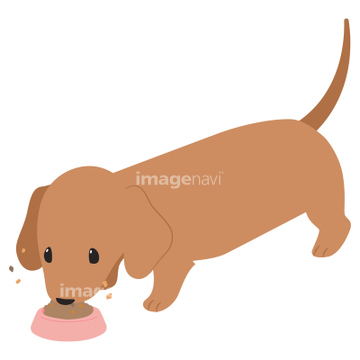 犬 かわいい ダックスフント イラスト の画像素材 生き物 イラスト Cgのイラスト素材ならイメージナビ