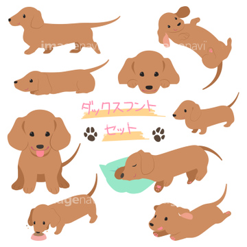 犬 かわいい ダックスフント イラスト の画像素材 生き物