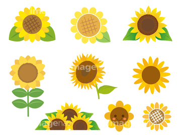 季節のイラスト ひまわり かわいい 夏 イラスト の画像素材 花 植物 イラスト Cgのイラスト素材ならイメージナビ