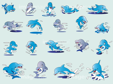 イルカ 夏 すいすい の画像素材 海の動物 生き物の写真素材ならイメージナビ