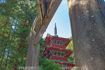 日光東照宮五重塔 の画像素材 日本 国 地域の写真素材ならイメージナビ