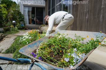 家 家族 庭 日本人 70代 ロイヤリティフリー の画像素材 住宅地 町並 建築の写真素材ならイメージナビ