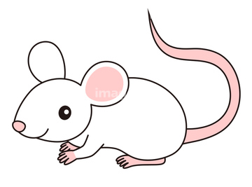 小型ネズミ の画像素材 季節 イベント イラスト Cgの写真素材ならイメージナビ