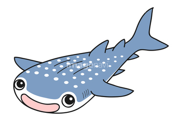 サメ イラスト ジンベエザメ の画像素材 生き物 イラスト Cgのイラスト素材ならイメージナビ