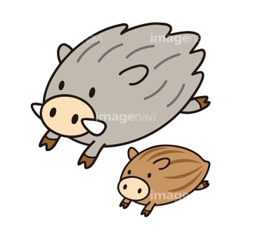 イノシシ イラスト かわいい うり坊 の画像素材 バックグラウンド イラスト Cgのイラスト素材ならイメージナビ イノシシ イラスト かわいい うり坊 の画像素材 バックグラウンド イラスト Cgのイラスト素材ならイメージナビ