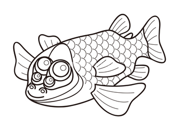 デメキン の画像素材 魚類 生き物の写真素材ならイメージナビ