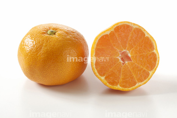 柑橘系 断面図 ミカン ウンシュウミカン の画像素材 ダイエット フィットネスの写真素材ならイメージナビ
