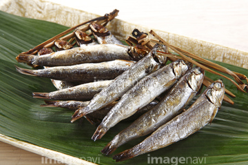 目刺し の画像素材 加工食品 食べ物の写真素材ならイメージナビ