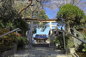 東京都練馬区北町 の画像素材 日本 国 地域の写真素材ならイメージナビ