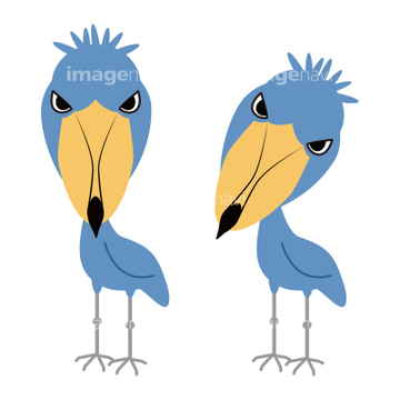 動かない鳥 の画像素材 鳥類 生き物の写真素材ならイメージナビ 動かない鳥 の画像素材 鳥類 生き物の写真素材ならイメージナビ