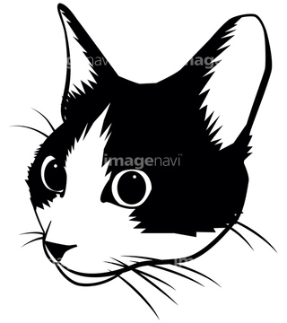 白黒猫 の画像素材 生き物 イラスト Cgの写真素材ならイメージナビ