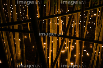 自然 風景 森林 竹林 和風 夜 の画像素材 写真素材ならイメージナビ