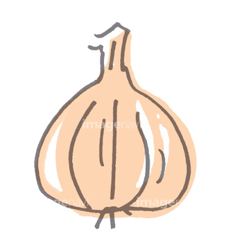 にんにく イラスト の画像素材 食べ物 飲み物 イラスト Cgのイラスト素材ならイメージナビ