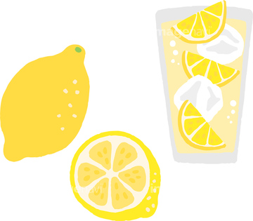 レモンサワーとレモン の画像素材 イラスト素材ならイメージナビ