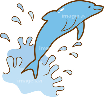 ハンドウイルカ かわいい の画像素材 海の動物 生き物の写真素材ならイメージナビ