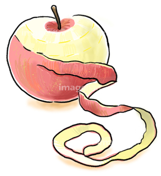 いきいき 作家有枝ダフニア の画像素材 食べ物 飲み物 イラスト Cgの写真素材ならイメージナビ