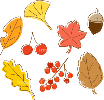 どんぐり イラスト かわいい 秋 の画像素材 季節 イベント イラスト Cgのイラスト素材ならイメージナビ
