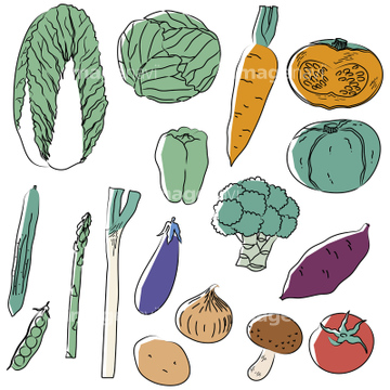 野菜アイコン の画像素材 デザインパーツ イラスト Cgの写真素材ならイメージナビ