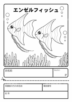 熱帯魚 イラスト 線 の画像素材 生き物 イラスト Cgのイラスト素材ならイメージナビ