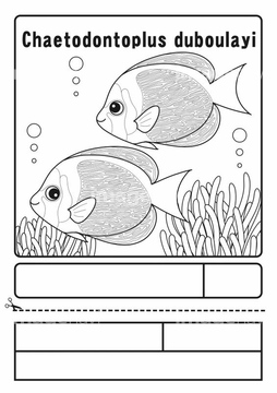 画像素材 生き物 イラスト Cgの写真素材ならイメージナビ