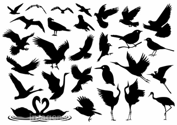 生き物 鳥類 カモメ ウミネコ 渡り鳥 シルエット の画像素材 写真素材ならイメージナビ