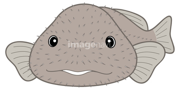 カジカ の画像素材 生き物 イラスト Cgの写真素材ならイメージナビ