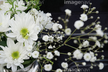 一周忌 の画像素材 お祝い事 弔事 ライフスタイルの写真素材ならイメージナビ