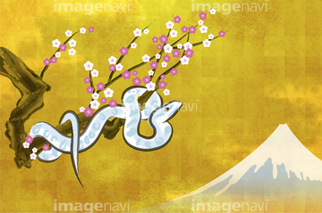 富士山 イラスト 和風 春 ロイヤリティフリー の画像素材 花 植物 イラスト Cgのイラスト素材ならイメージナビ