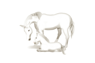 画像素材 生き物 イラスト Cgの写真素材ならイメージナビ