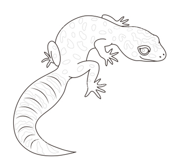 爬虫類 かわいい の画像素材 ペット 生き物の写真素材ならイメージナビ