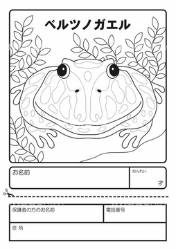 ベルツノガエル の画像素材 爬虫類 両生類 生き物の写真素材ならイメージナビ