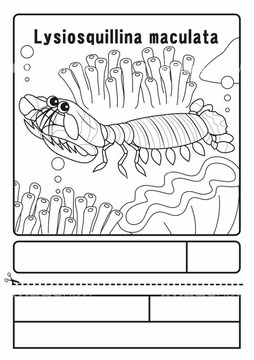画像素材 生き物 イラスト Cgの写真素材ならイメージナビ
