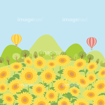 夏のひまわり畑の街並み 背景 の画像素材 31605410 イラスト素材ならイメージナビ