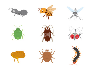 ゴキブリ アイコン の画像素材 生き物 イラスト Cgの写真素材ならイメージナビ