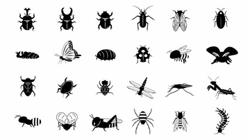 ヤゴ の画像素材 虫 昆虫 生き物の写真素材ならイメージナビ